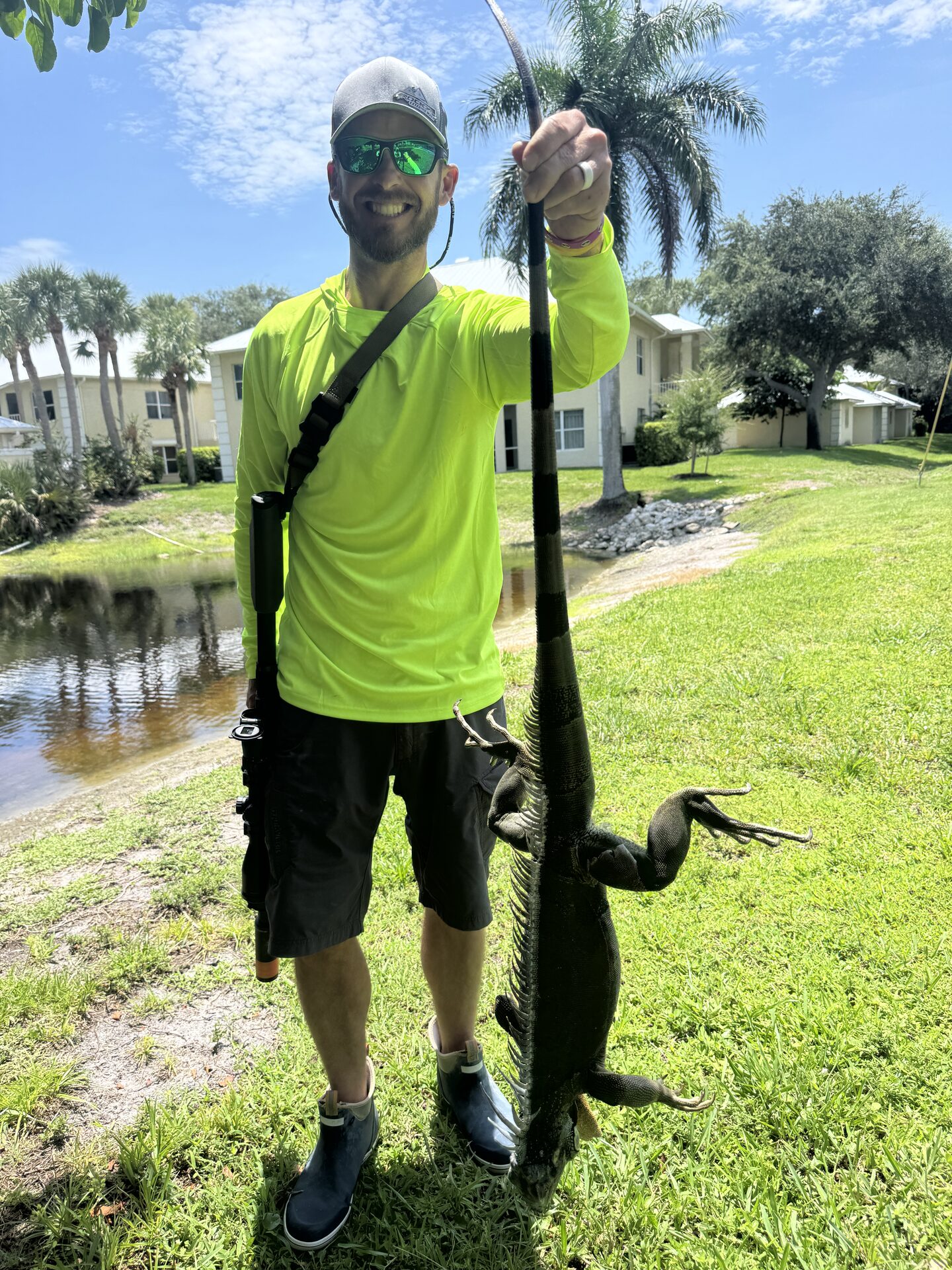 How to Get Rid of Iguanas on Your Property in Southwest Florida